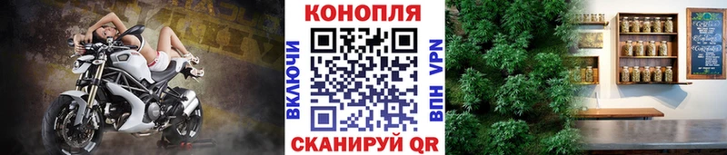 купить наркотики сайты  Щёлкино  Канабис семена 